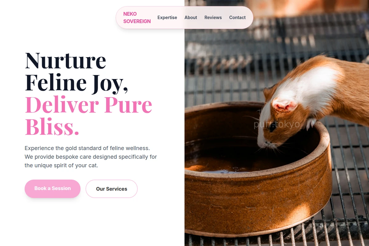 Feline Animal Care