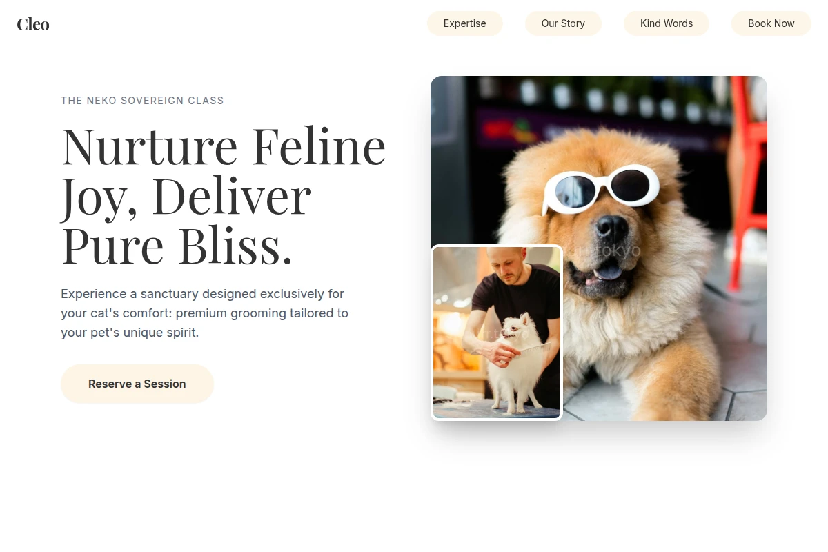 Cleo Pet Grooming