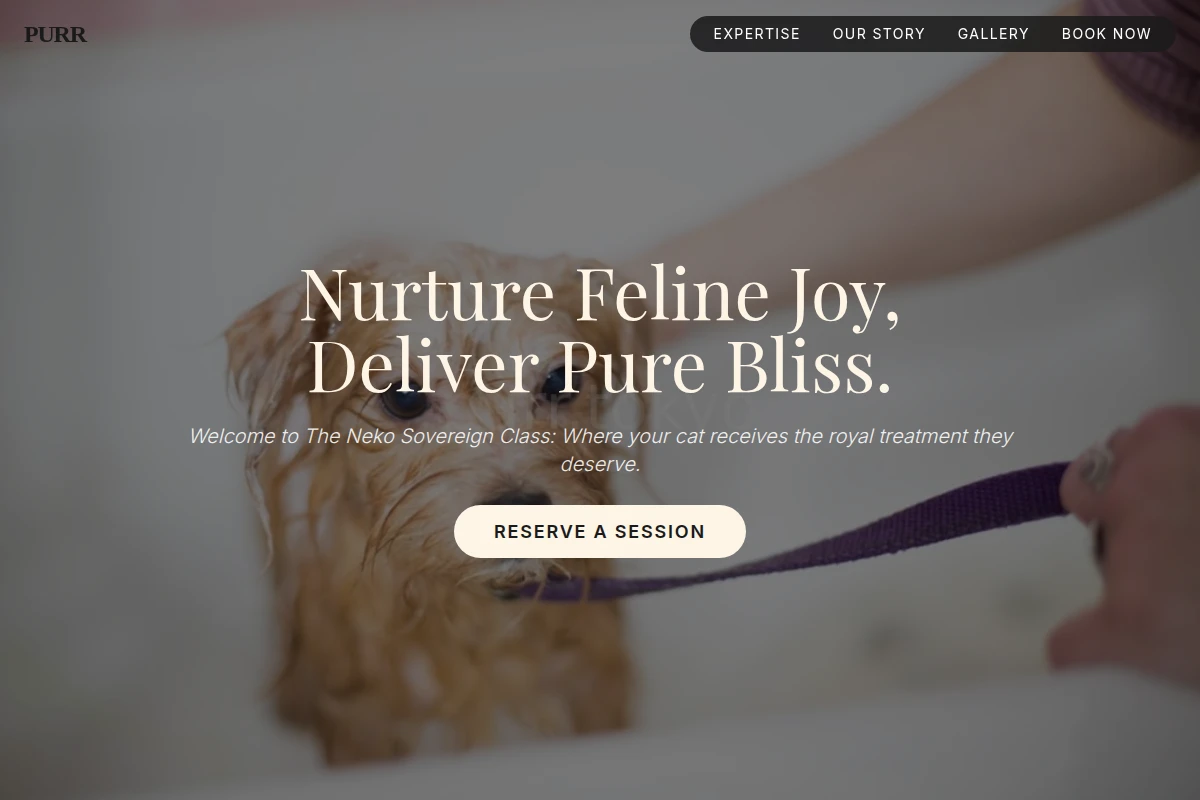 Purr Pet Grooming