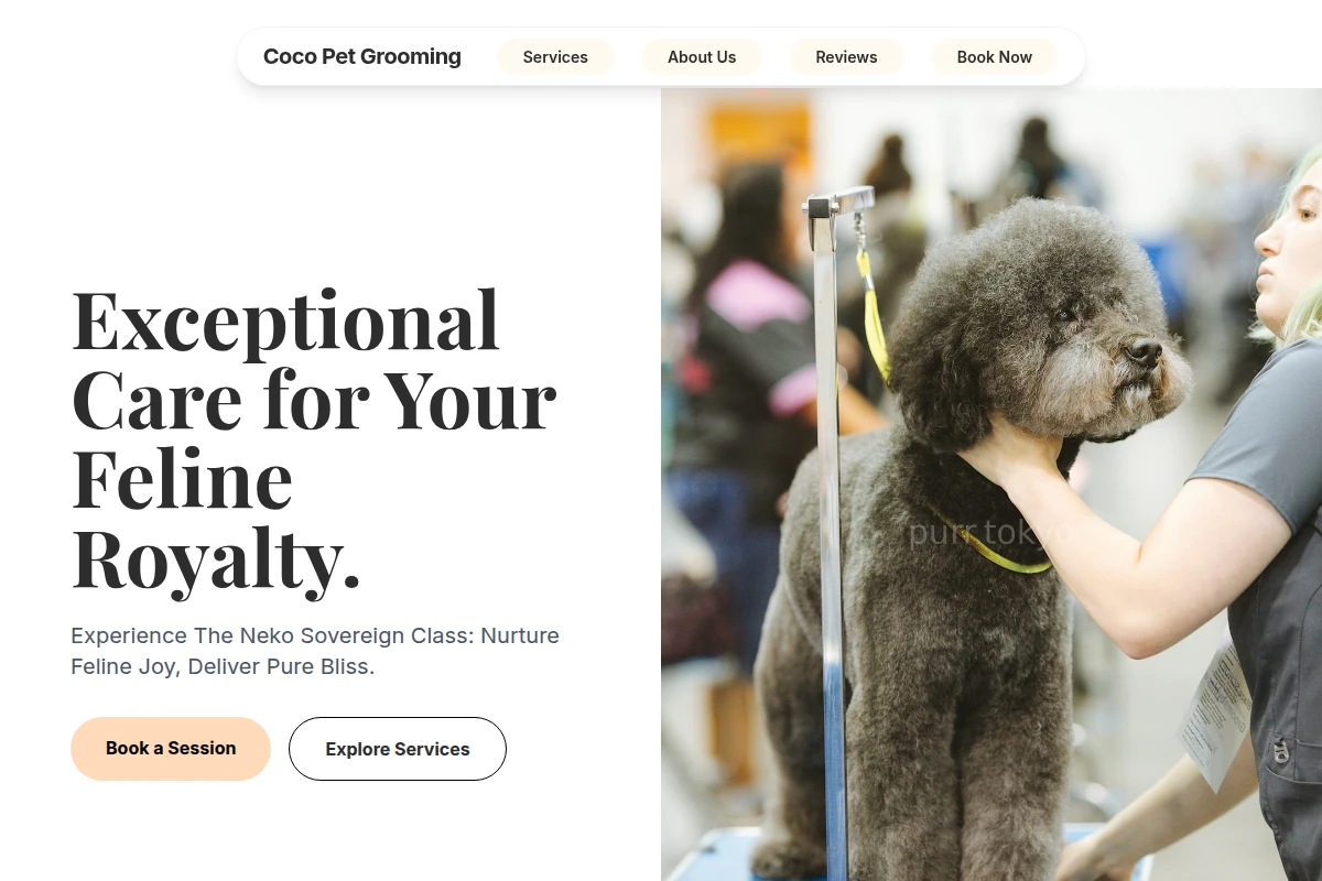 Coco Pet Grooming