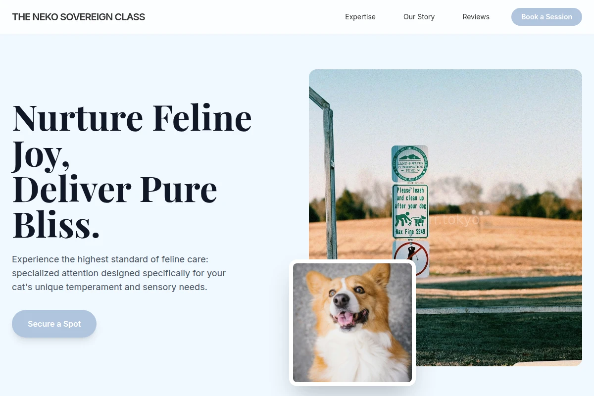 Catnip Pet Services
