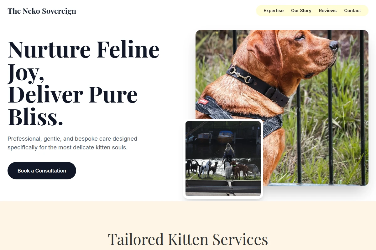 Kitten Pet Services